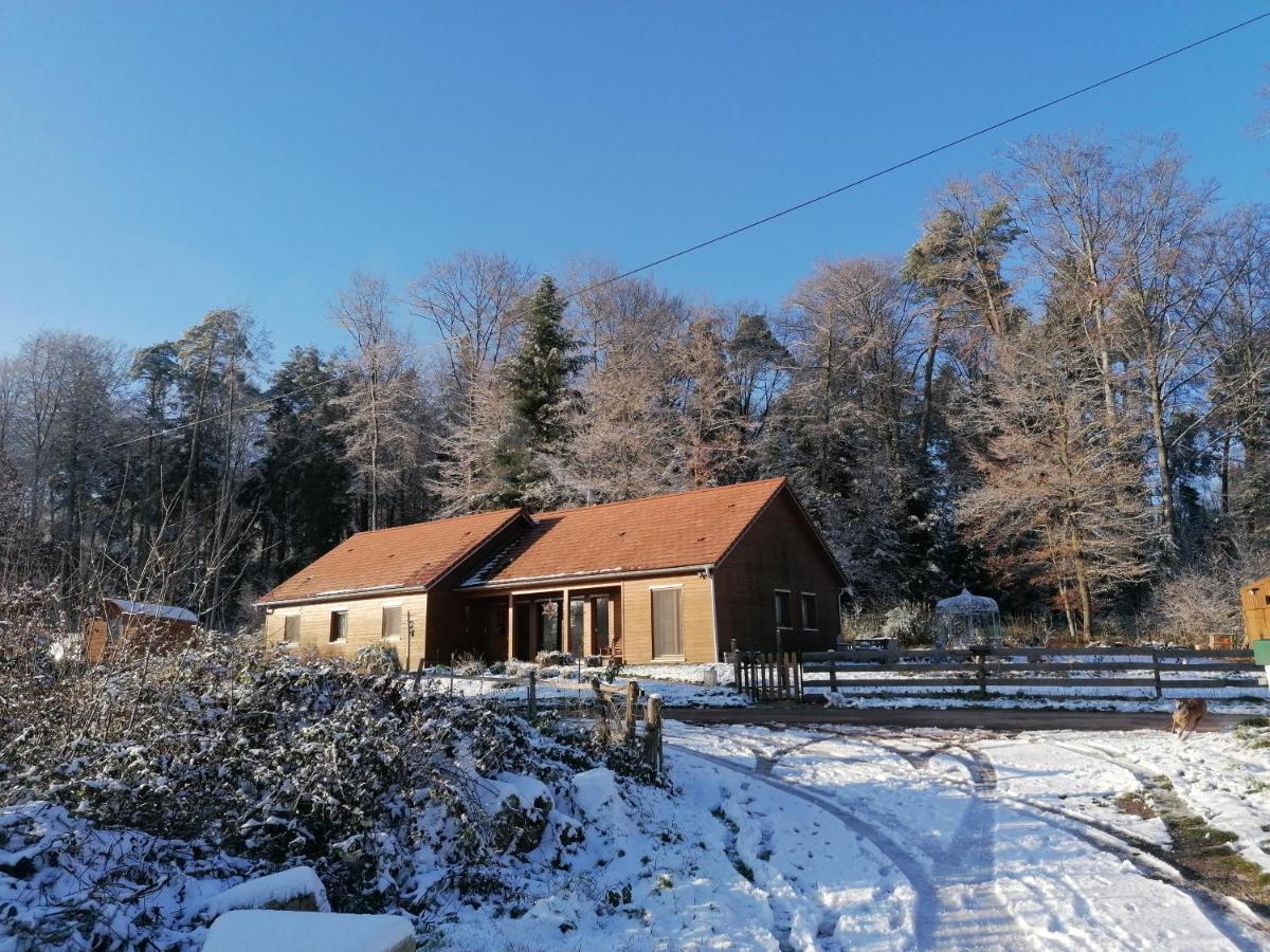 Vosges Chambres D'Hotes Jeanmenil Εξωτερικό φωτογραφία