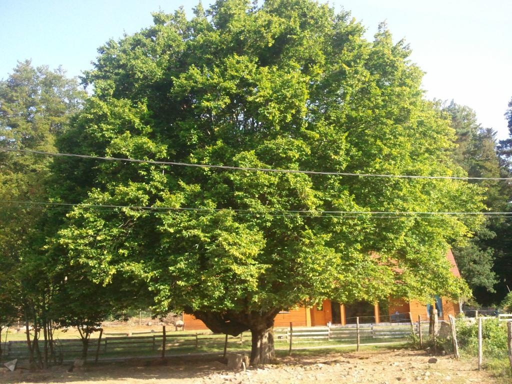 Vosges Chambres D'Hotes Jeanmenil Εξωτερικό φωτογραφία